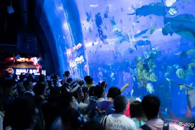 趁着周末去广州正佳极地海洋世界逛逛!