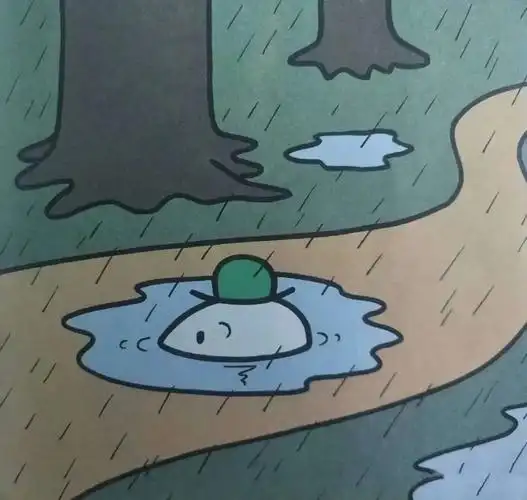 在坏王国,水洼,就是那个小水坑,看上去不大,踩进去却很深.