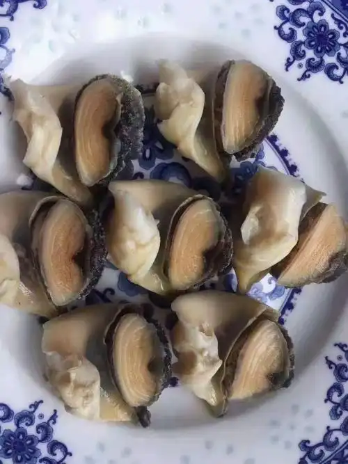 批发海螺肉熟冻即食海螺头贝壳海鲜捞汁食材商用