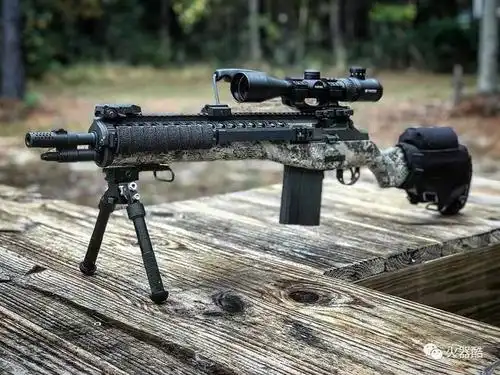 逍遥最喜欢的步枪m14m1a步枪美图集