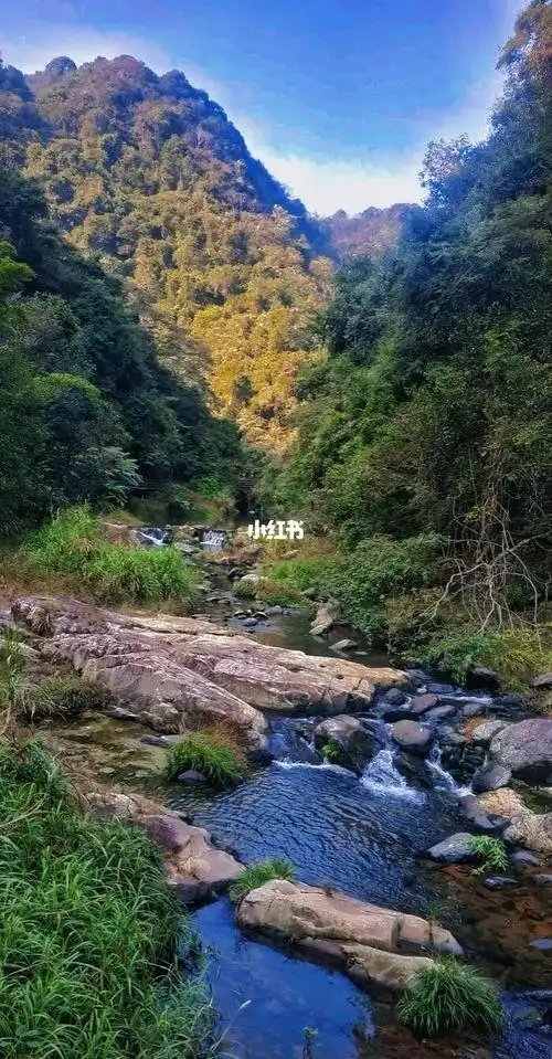 粤东天然大氧吧"梅州丰顺八乡山大峡谷"