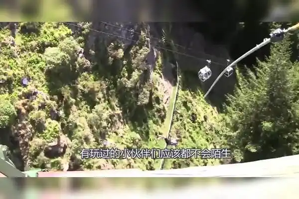 美女挑战蹦极不料被水中鳄鱼一口吞了镜头记录生前10秒