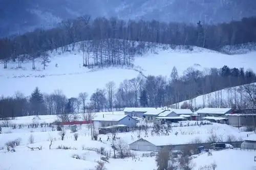 走进家乡的冬天,雪色山村如诗如画