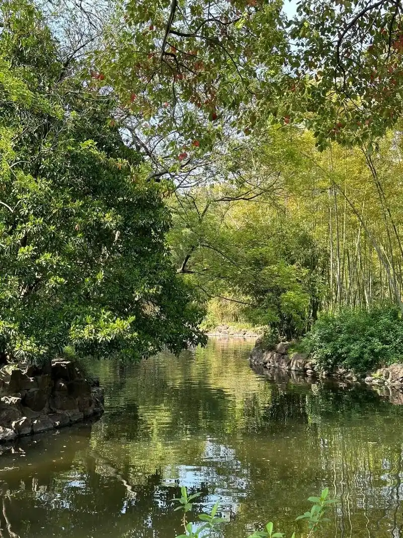 oh～年轻的味道 9595