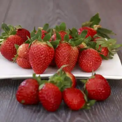 新鲜好吃酸甜美味的草莓水果草莓头像图片