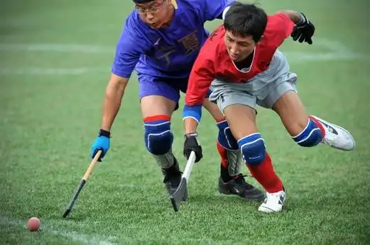 图文-民族运动会木球宁夏胜海南 双方队员积极拼抢