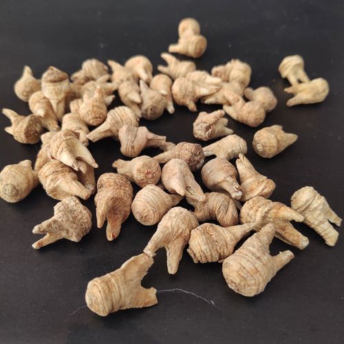 洋参牙参觅阳参觅小粒东北野生旗参西洋参500克人参