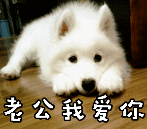 老公我爱你gif动图_动态图_表情包下载_soogif