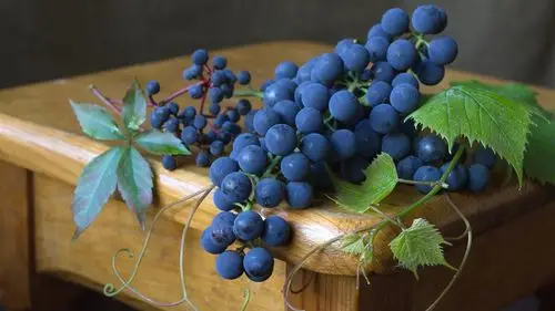 黑葡萄,水果 壁纸