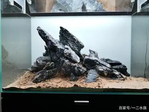 鱼缸造景教程,看石头的走势,让你快速掌握造景技巧