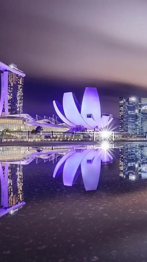 新加坡,城市夜晚,照明,湖泊