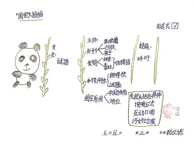 《国宝大熊猫》三·一班导图秀