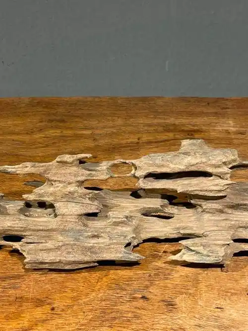 用之美—朴实材质的升华 ▎天然奇石状朽木案头摆件_大自然_硬木