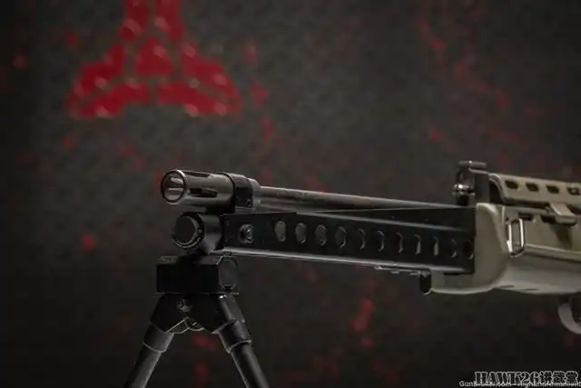 细看:sa80轻机枪现身古董枪械网站 半自动民用版 世界仅此一挺