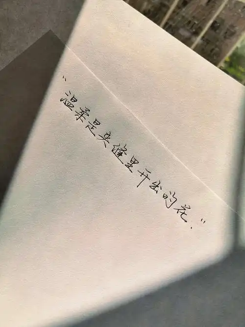 你是迷途但不知返