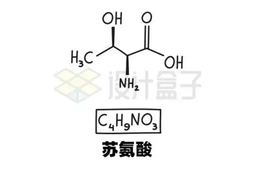 苏氨酸c4h9no3化学方程式和分子结构式手绘风格氨基酸9328089矢量图片