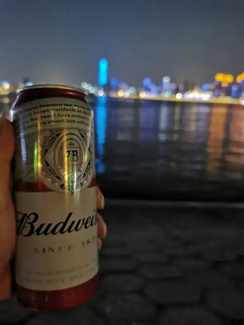 面对着黄鹤楼和长江干杯