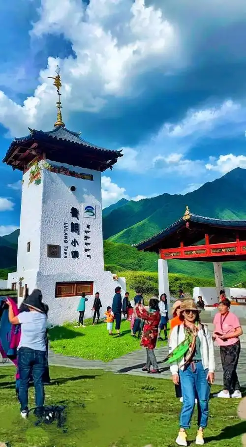 鲁朗林海,海拔高度三千七百米,位于林芝地区八一镇的川藏线上,是云山