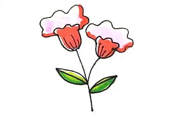 鸡冠花怎么画学画鸡冠花简笔画步骤图文教程