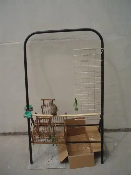 新做的鸟架,请各位指点一下!