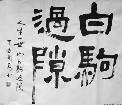 白驹过隙的用法