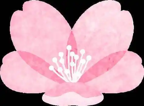 捧当乡召开2024年春季动物防疫工作动员大会_畜牧_粪污_个人行为