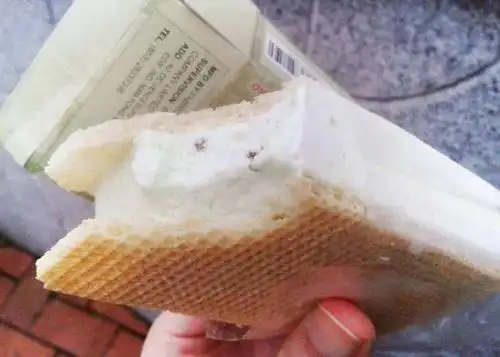 已经停产的6种雪糕, 满满的童年味道全吃过的人最起码也当爷爷了