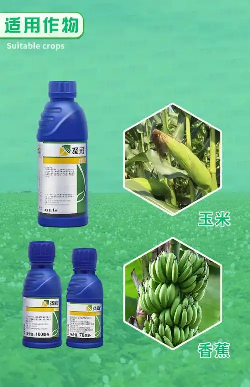 先正达扬彩丙环唑嘧菌脂香蕉叶斑病玉米大斑病杀菌剂农药70ml1l