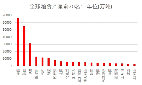 全球粮食产量排名前20