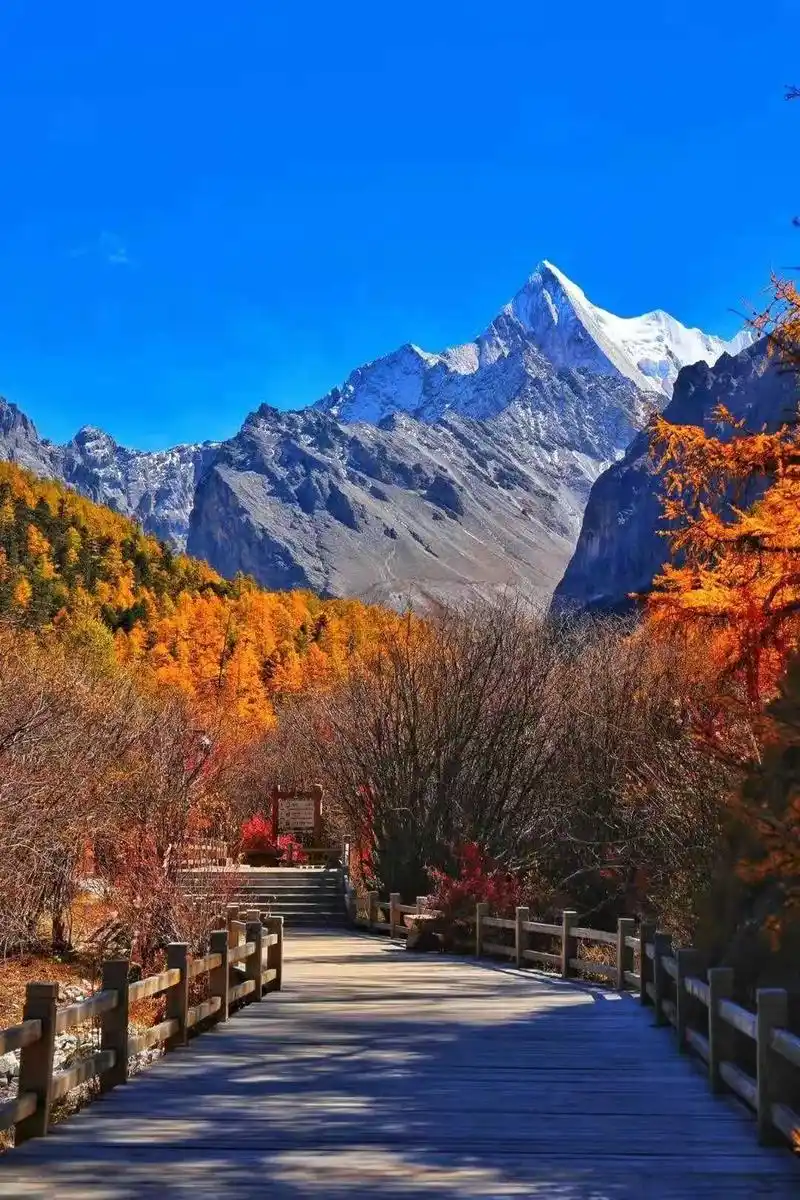 四川频道 要闻四川  与此同时,甘孜州还专门针对旅行社等市场主体设置