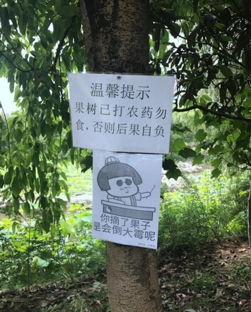 这大学为了防止学生摘果子,禁止标语写的太搞笑啦～哈哈哈