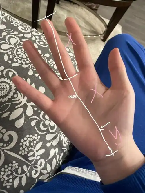 为啥我的手掌比手指长这么多