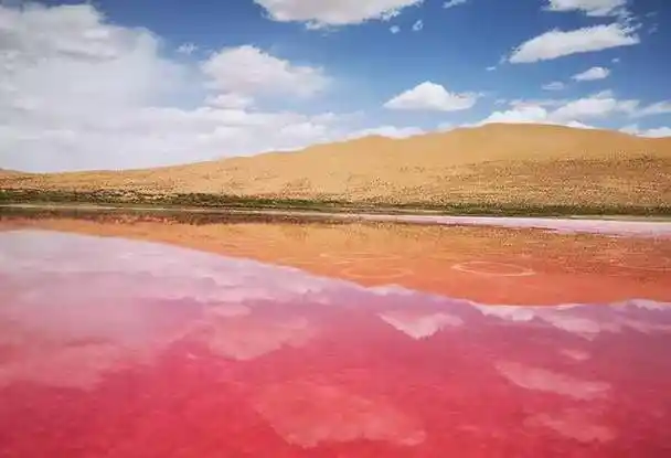 位于巴丹吉林沙漠中的达格图湖为什么会呈现粉红色