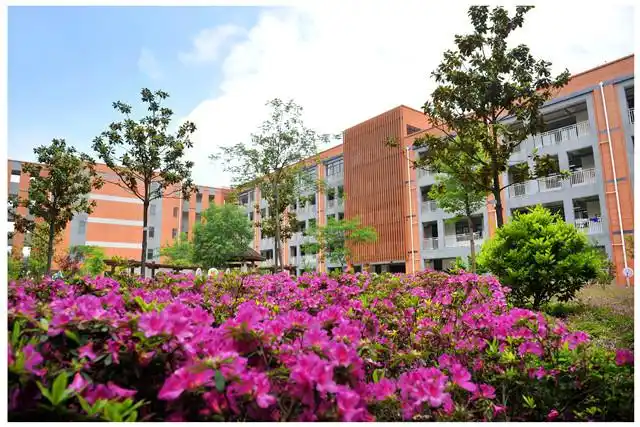 2建设美丽校园校园景观绿化