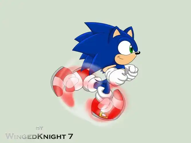 音速小子索尼克 sonic the hedgehog 跑 旋风 动画