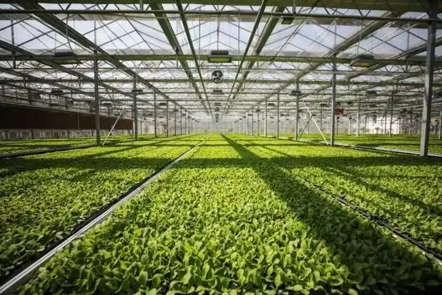 毕节:奋力推进现代农业实现高效发展丨"四新""四化"进行时