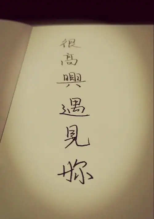 手写文字#很高兴遇见你