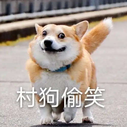 狗子们来收表情包