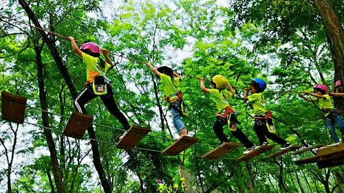 活动回顾#飞越丛林激情挑战