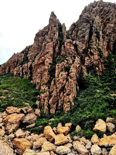 烟台长岛的林海烽山游