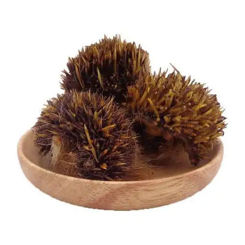 炒刺猬皮中药材刺猬皮块炙刺猬皮刺猬皮猥皮仙人衣100克29