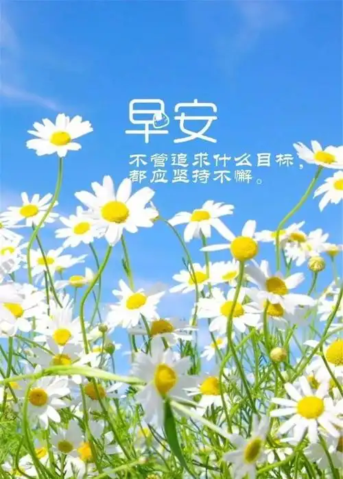 冬季早安唯美入心的正能量心灵鸡汤语录,早安最美暖心问候图片