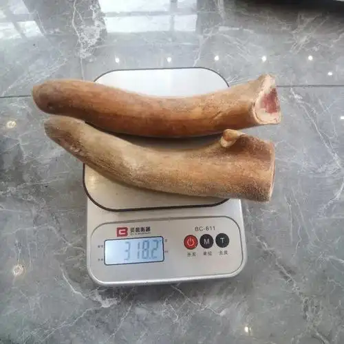 鲜嫩梅花鹿茸副角,单只重量100多克—200多克,可切连刀切片,自己用超