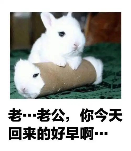 日式冷吐槽老老公你今天回来的好早啊