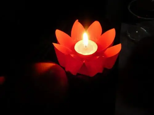 优美的莲花灯,早已成为中国的传统花灯.