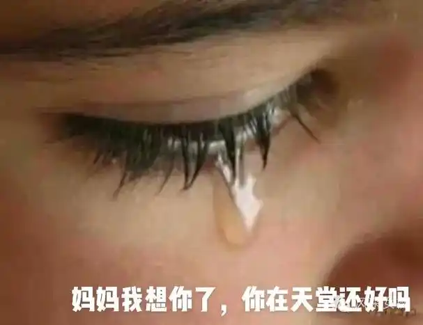 妈妈我想你了,我想你我只能看着你的照片偷偷的哭,此时我们已是 - 抖