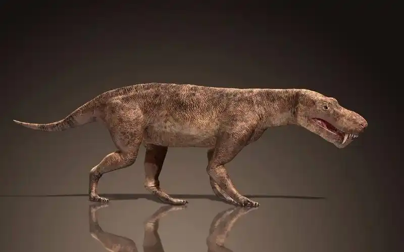 古生物二叠纪晚期陆地霸主丽齿兽