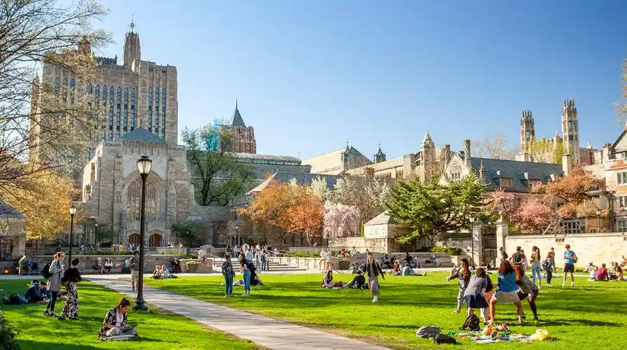 全美最卷&学习最刻苦的大学排名出炉!哈佛只能排第25名?