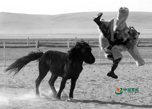 铁蹄疾风蒙古马