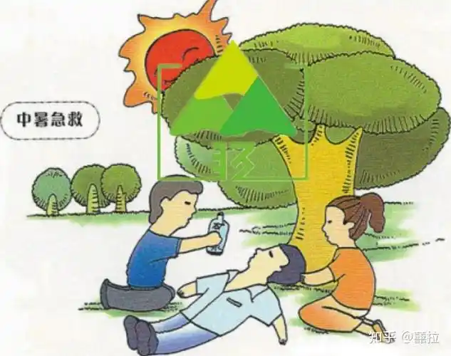 中暑后的急救措施